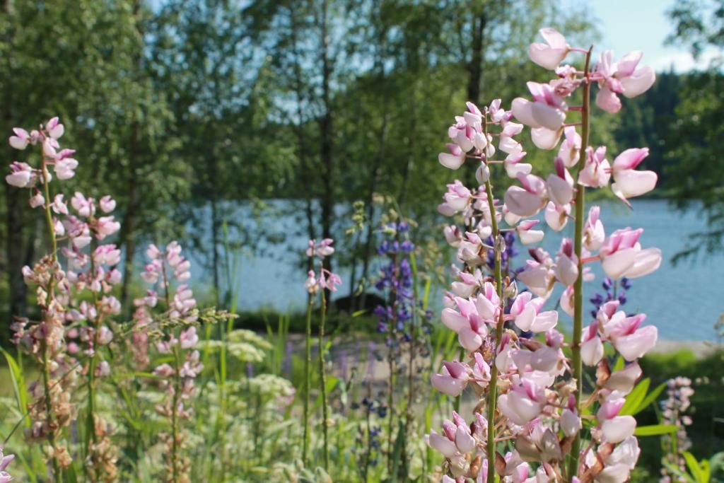 Дома для отпуска Коттедж в Финляндии, Enonkoski (розовый) Энонкоски-93